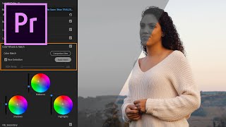 Como fazer Correção de Cor no Premiere Pro + Arquivos para Treinar