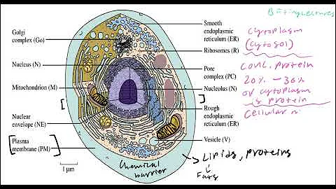 Biochemistry Lecture 1 Introduction