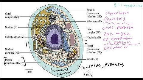 Biochemistry Lecture 1 Introduction