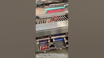VERFOODSOLUTIONS Nectarine Walnut Jujube Size Sorting Machine Test Before Delivery Greece Customer