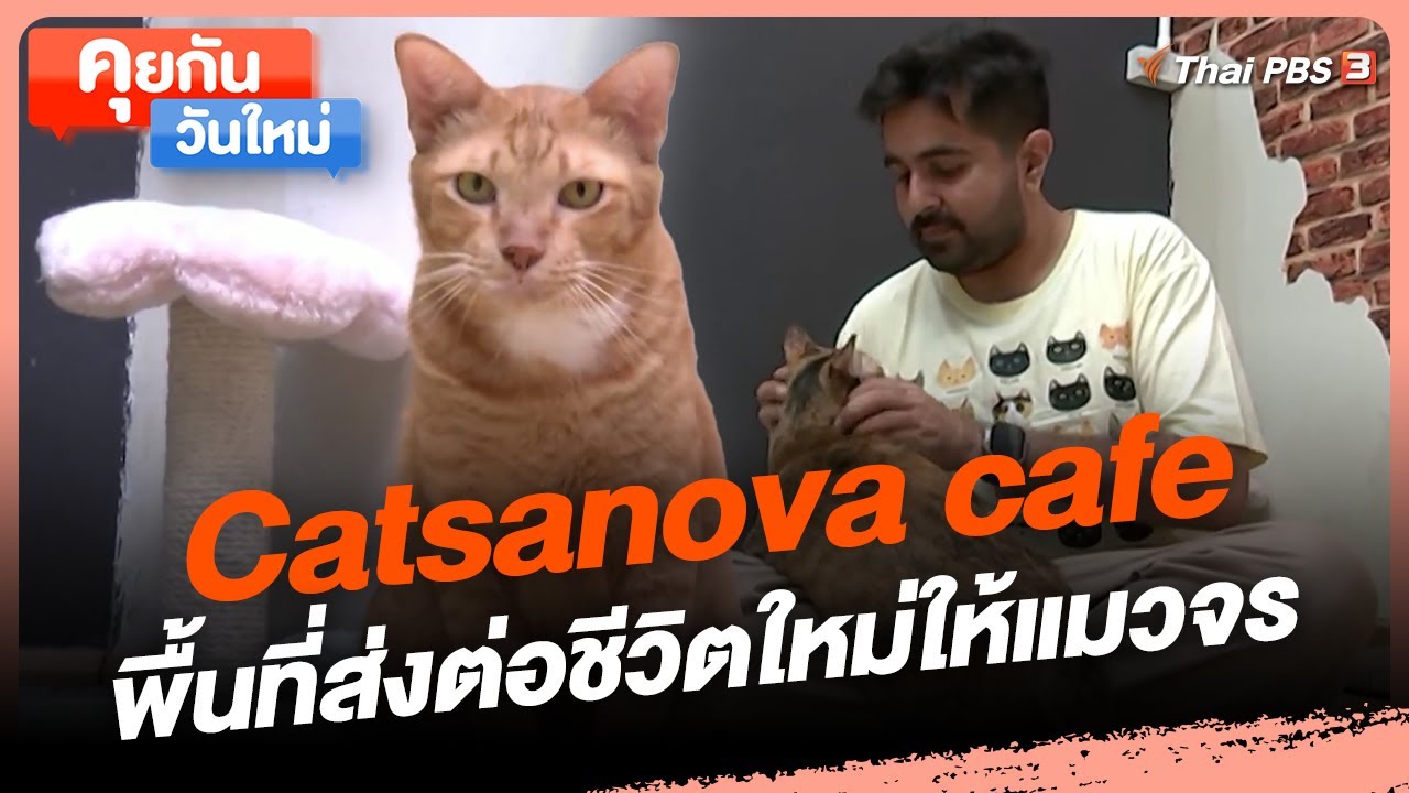 Catsanova cafe พื้นที่ส่งต่อชีวิตใหม่ให้แมวจร | คุยกันวันใหม่