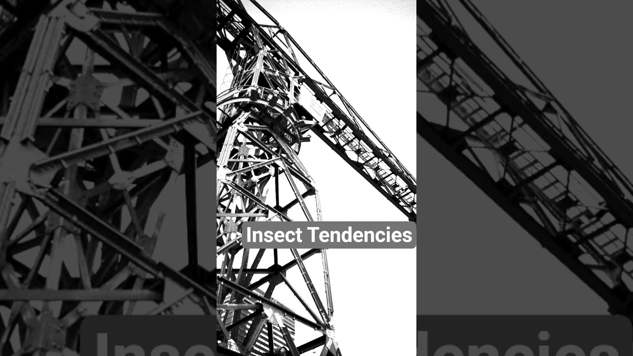 Insect Tendencies