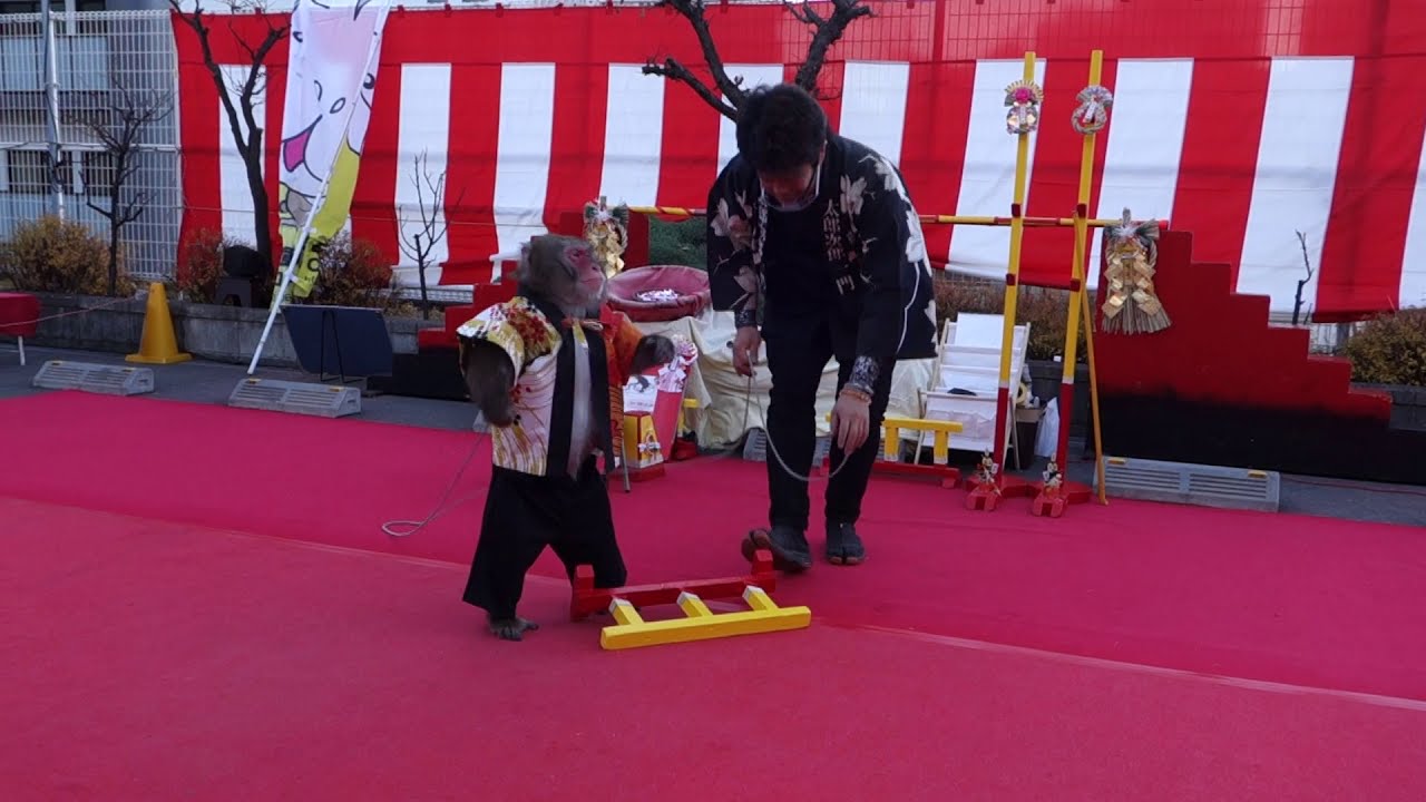 神田明神の猿回し(2021元旦)