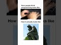 #shortvideo #shorts #youtube #youtubeshorts #viral #fyp #memes #funny #computerscience