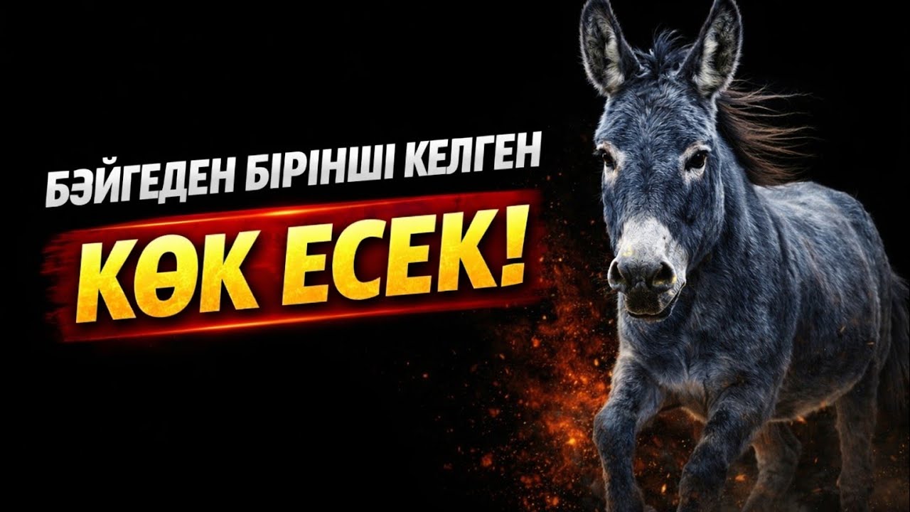 Бәйгеден бірінші келген көк есек 