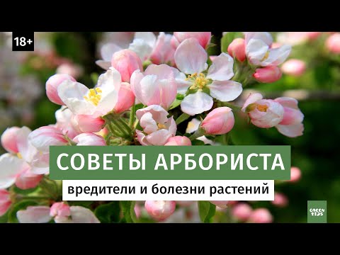 Видео: Списки растений-индикаторов - узнайте о растениях-индикаторах воды, вредителей и болезней