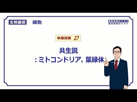 【生物基礎】　細胞27　共生説 （１１分）