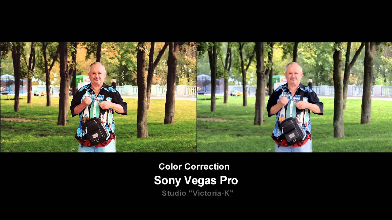 Color correction sony vegas pro 9 snsenturin