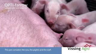 Vissing Agro Opti Farrow Turn-Around Farrowing Pen