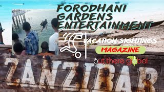 Thrill seeking local stunt divers Forodhani Gardens