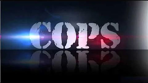 COPS Theme Song (TV Version)