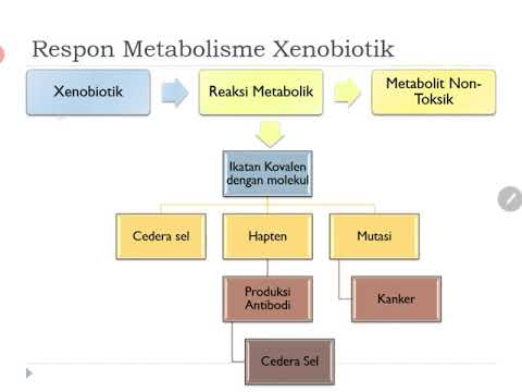 Apprendre perte de poids blog