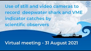 Using electronic monitoring to improve data-limited catch estimates for sharks