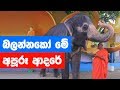ලොකු හාමුදුරුවන්ට තියන සෙනහස - Amazing Elephant Friendship with Monk - Elephant's love