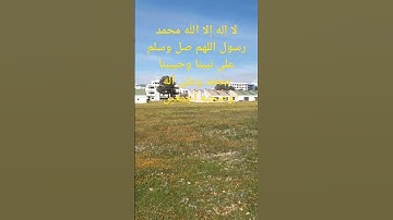 #المغرب #تلاوات #القران  الكريم بصوت الشيخ محمد الفقيه