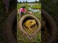 The guy show AMAZING Smart and Useful in Forest #bushcraft #survival #Outdoors #skills #frogtrap