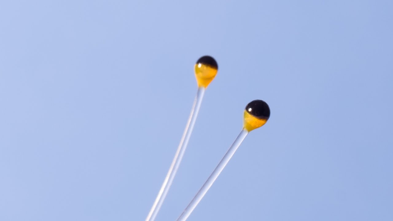 Making Shrimp Crab Eyes FlyTying Tutorial