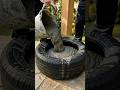 From Old Tires to Dream Gazebo: Full Build Timelapse #tire #upcycling