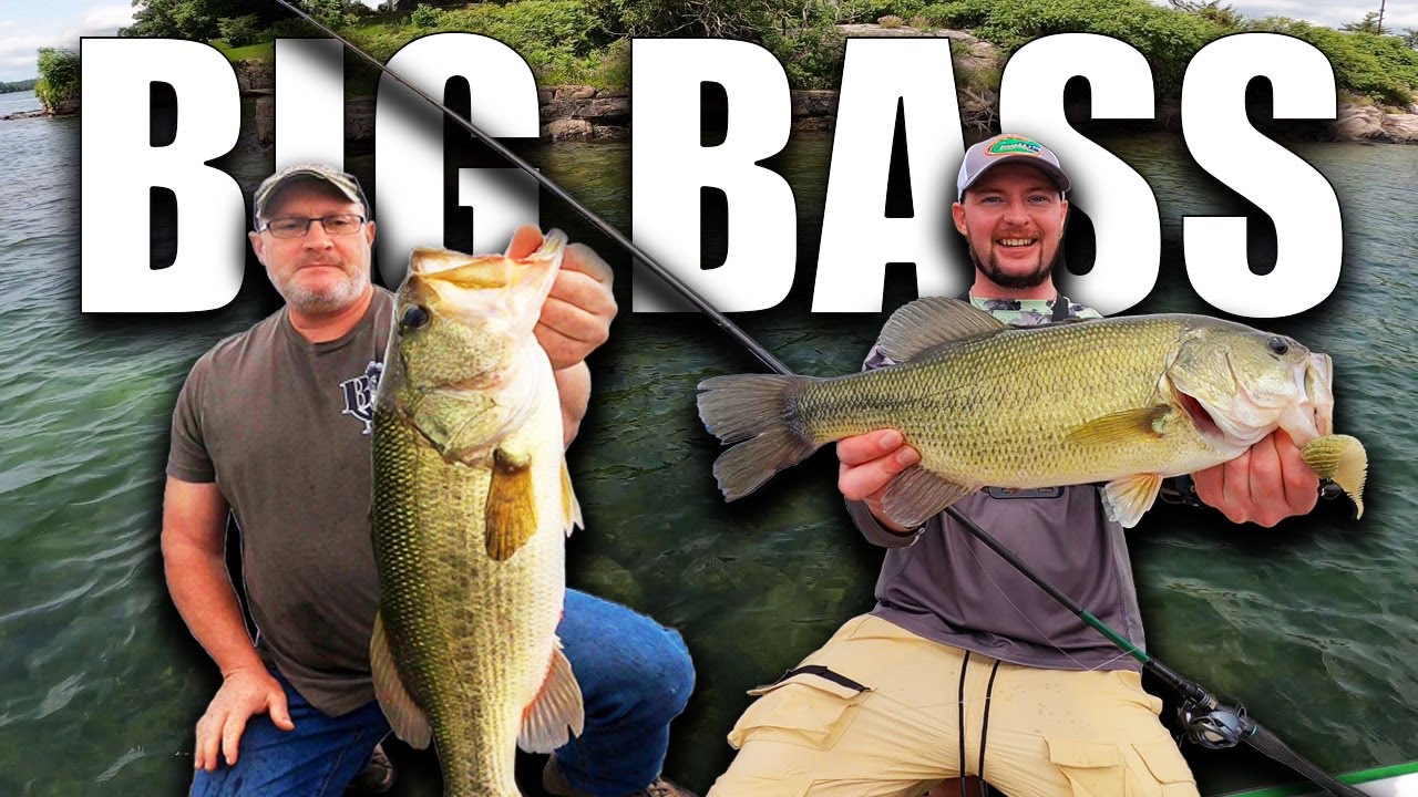 How to Catch BIG Bass in the Summer to Fall Transition!!