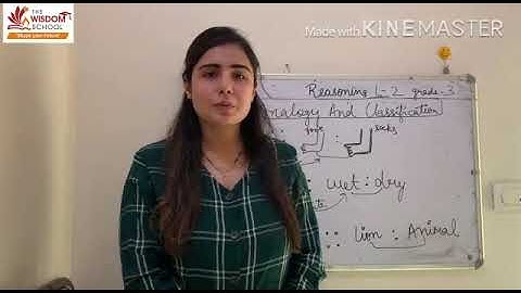 Grade 3/ Reasoning/ Analogy and classification/ May 16