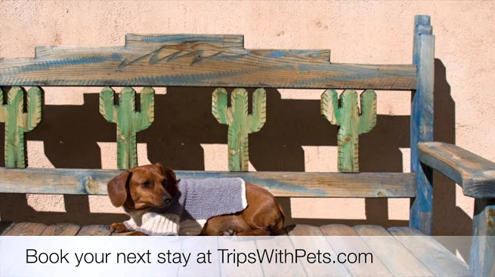 Pet friendly marriott hotels in tucson az