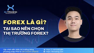 FOREX LÀ GÌ? TẠI SAO NÊN CHỌN THỊ TRƯỜNG FOREX?