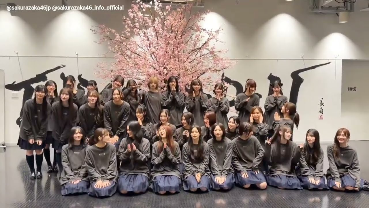 櫻坂464thYEARANNIVERSARYLIVEatZOZOMARINE Sakurazaka46 LIVE Blu-ray & DVD 4th YEAR ANNIVERSARY LIVE at ZOZO