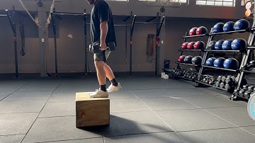 Dumbbell Suitcase Box Step Ups