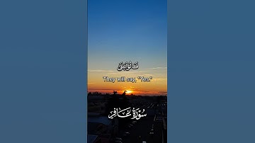 سورة غافر للشيخ ياسر الدوسري