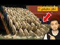 أغرب طريقة لنقل الحيوانات في العالم زرافات فيلة عجول تماسيح وأكثر