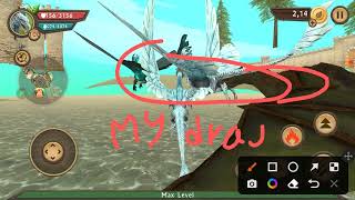 Glitches In Dragon Sim