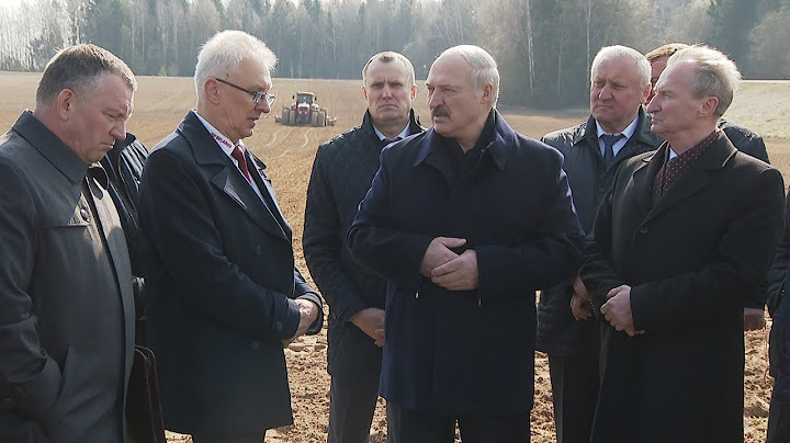 "Как будто Порошенко мне друг, а Зеленский враг" - Лукашенко о реакции на его слова о выборах
