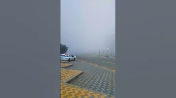الباحه أجواء ضبابيه 
