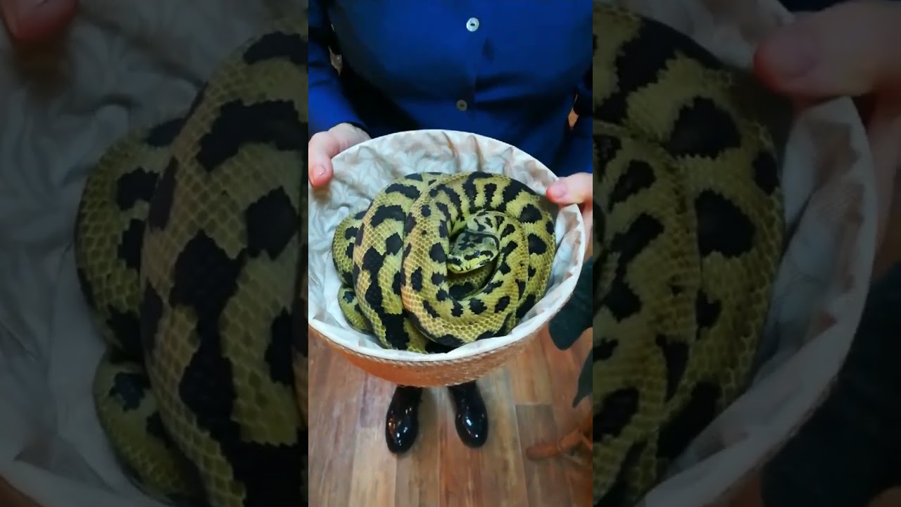 7 января 2024 г.