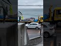 くじらさんさようなら　横須賀