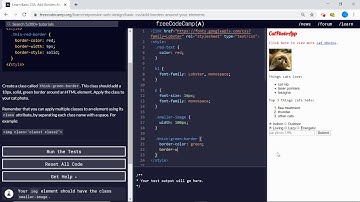 Basic CSS (10/44) | Add Borders Around Your Elements | freeCodeCamp