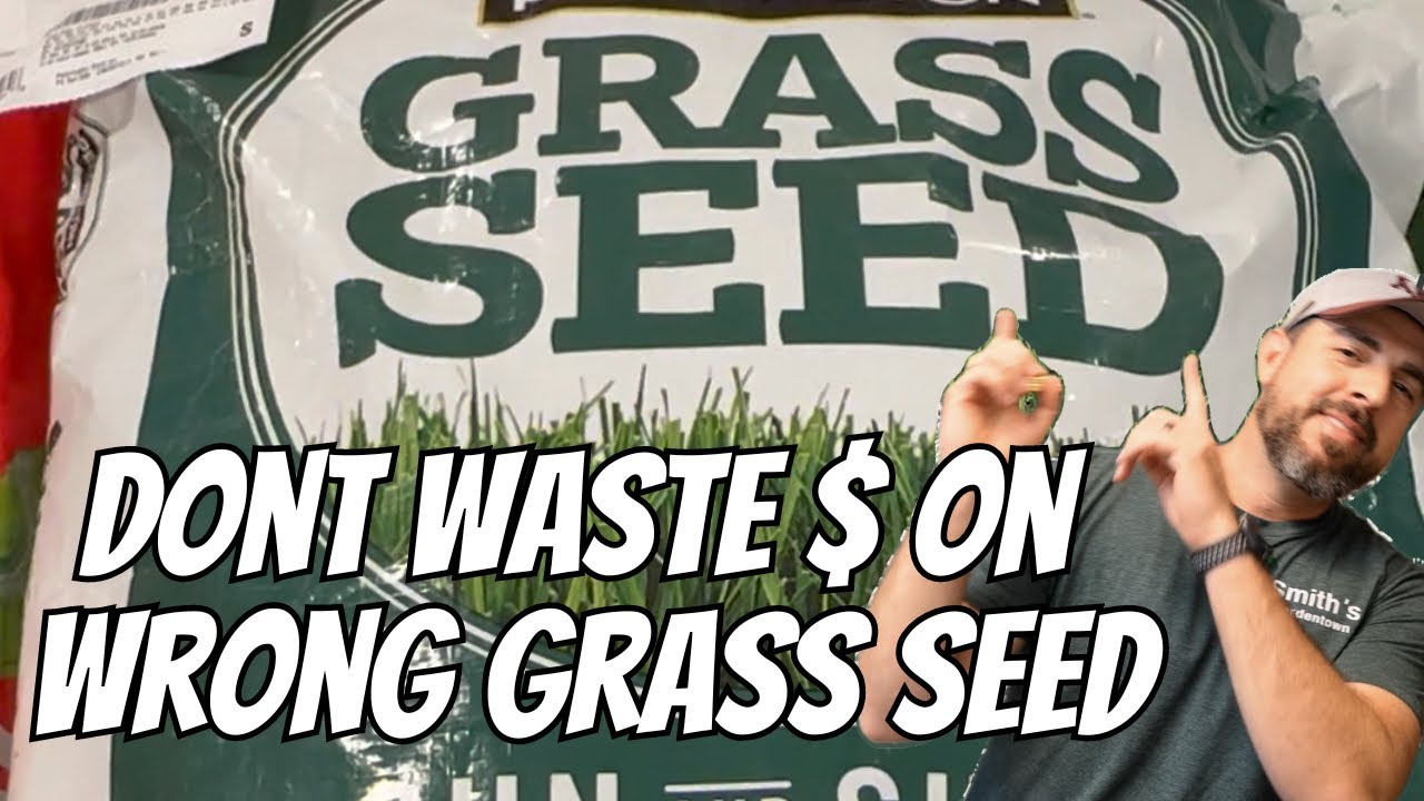 Don't Waste $ On Wrong Grass Seed