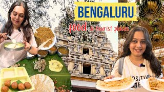 Famous BENGALURU Food, Tourist Places, new Terminal 2 Bangalore Airport, Ayurvedic Spa ~ vlog screenshot 3