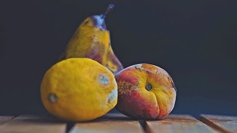 MyFruitTwin: App to reduce food waste