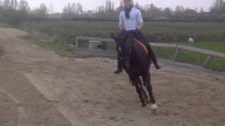 Vid-20120418-00056