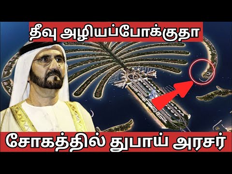 How Dubai Made''The Massive🔥 Palm Jumeirah Island Tamil?.இந்த தீவ எப்படி உருவாக்னாங்க?..