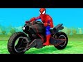--- Spiderman und seine Freunde