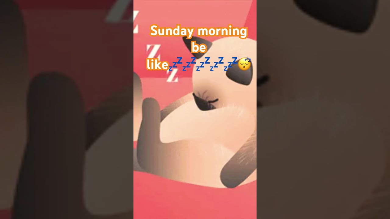 Sunday Bliss Chilling On A Love Sundayfunday