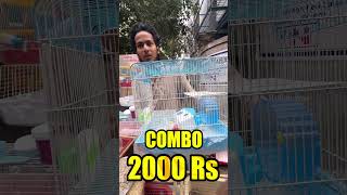 Hamster ku venum ana accessories ellam inga 🛒 Price mention panniruken | HD PETS WORLD