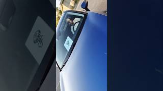 #starlink #starlinkmini #llaverostarlink #starlinkcolombia pruebas starlink mini colombia en eeuu