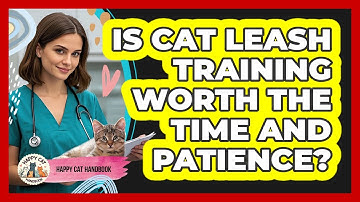 Is Cat Leash Training Worth The Time And Patience? - Happy Cat Handbook