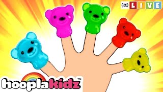 🔴 Gummy Bear Finger Family | More Kids Songs Collection | HooplaKidz LIVE