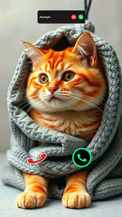 #ringtone #smartphone #music #ringtones #song #iphone #cat #funnycallringto #callm #iphoneringtone