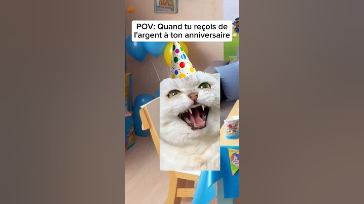 POV: Quand tu reçois de l'argent à ton anniversaire #humour #drole #catmemes #sketch #pov #chat