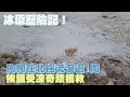 薩摩耶幼犬冰原歷險記！狗狗在北極流浪逾1周　挨餓受凍奇蹟獲救 | 台灣新聞 Taiwan 蘋果新聞網